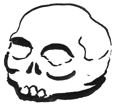 illustration: Self token in the shape of a skull